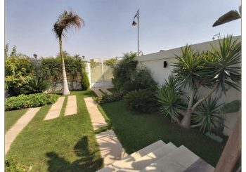 أسماء أشجار تنسيق حدائق