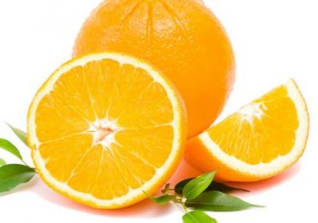 supply and Exporters of Oranges top citrus company