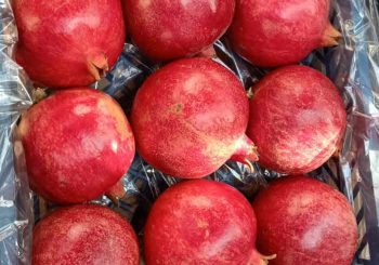 Egyptian pomegranate for exporting