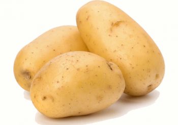 Exporting Egyptian potato, Sponta potato