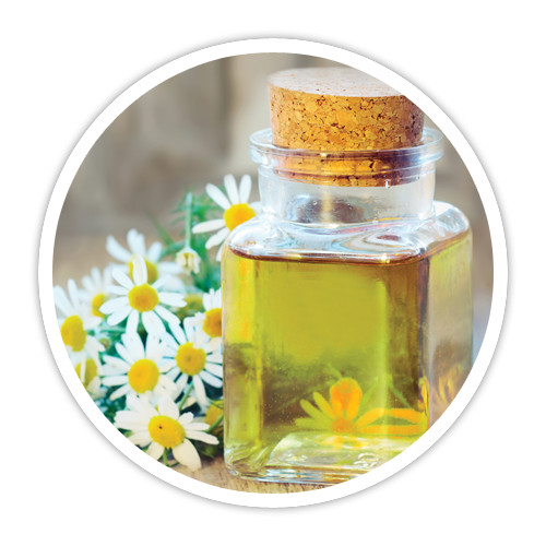 Import Egyptian camomile blue oil زيت البابونج الازرق استيراد زيت الكاموميل الازرق تصدير زيت الكاموميل الازرق export chamomil blue oil