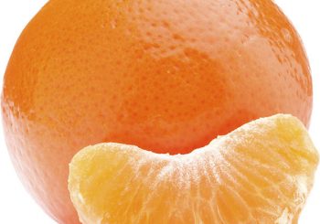 Egyptian orange for exporting