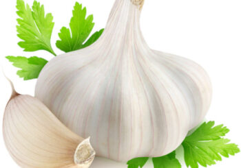 import red garlic import white garlic