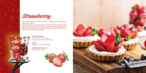 Strawberry export companies in Egypt