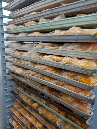 import frozen mango slices export frozen mango slices استيراد مانجه شرائح مجمده تصدير مانجه شرائح مجمدة