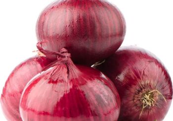 Importing red onions Exporting red onions Egyptian red onions