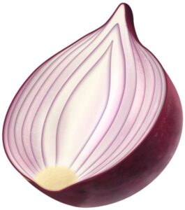 import-red-onion-export-red-onion-egyptian-red-onion-استيراد-البصل-الاحمر-تصدير-البصل-الاحمر