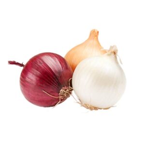 import-red-onion-export-red-onion-egyptian-red-onion-استيراد-البصل-الاحمر-تصدير-البصل-الاحمر