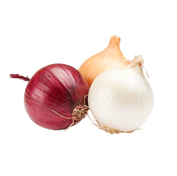 import-red-onion-export-red-onion-egyptian-red-onion-استيراد-البصل-الاحمر-تصدير-البصل-الاحمر